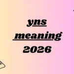 yns meaning