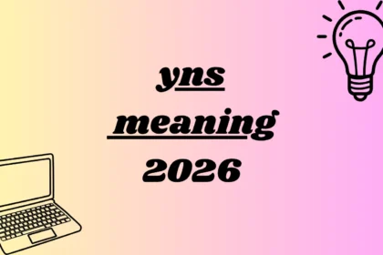 yns meaning