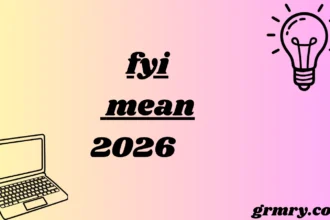 fyi mean